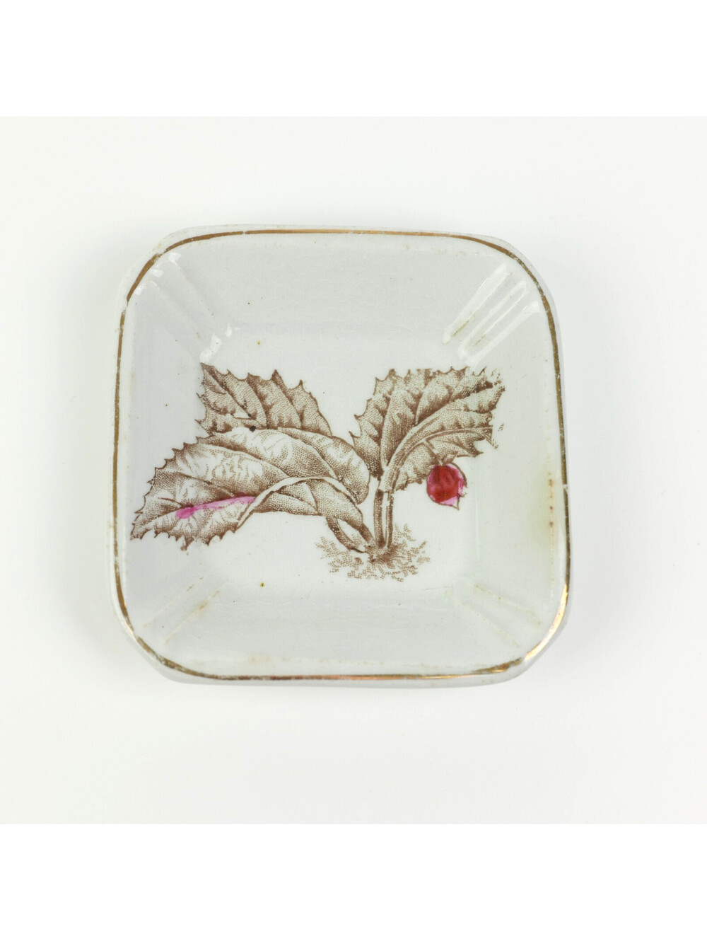 Antique Alfred Meakin Royal Ironstone Botanical Butter Pat Square Dish 1890s